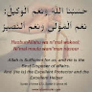 Meet your Posher, Anaya